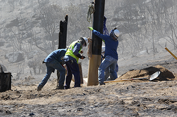 Wildfire Safety