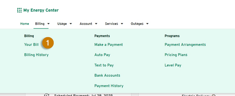 your bill nav
